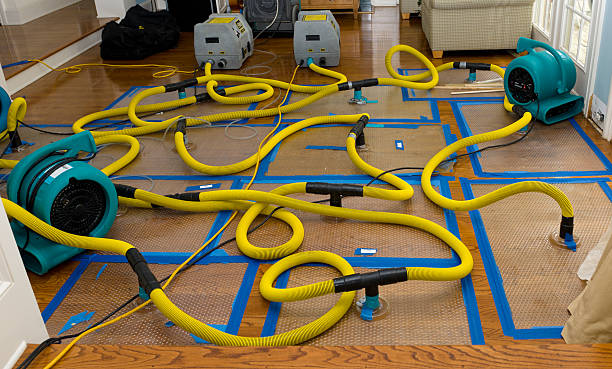 Professional Structural Drying And Dehumidification technician working in Lafayette, CA